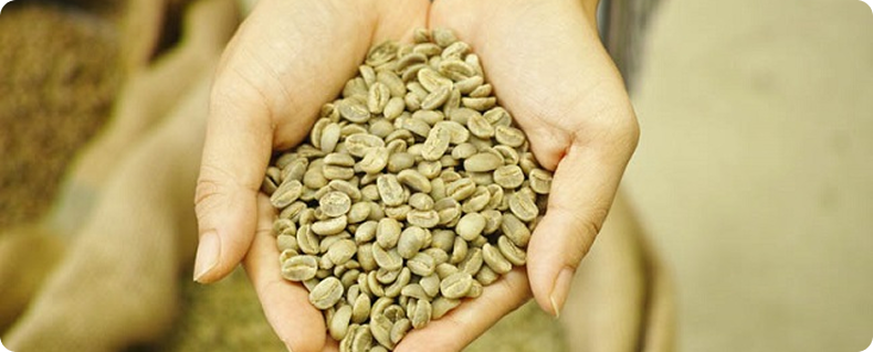 Chế biến kiểm soát chất lượng